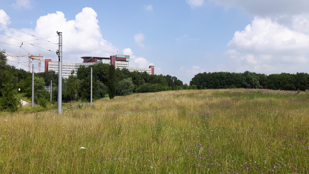 Bebauungsplan Nr. 300 „Universität Augsburg – Medizinische Fakultät“